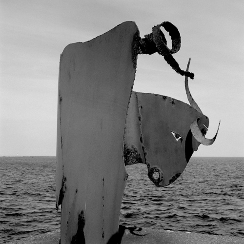 Metal statue of cow, Helgoland